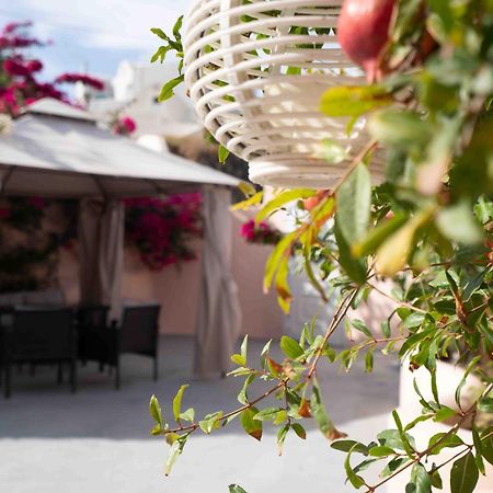 Santorini Oasis- Cave House Vila Fira  Exterior foto
